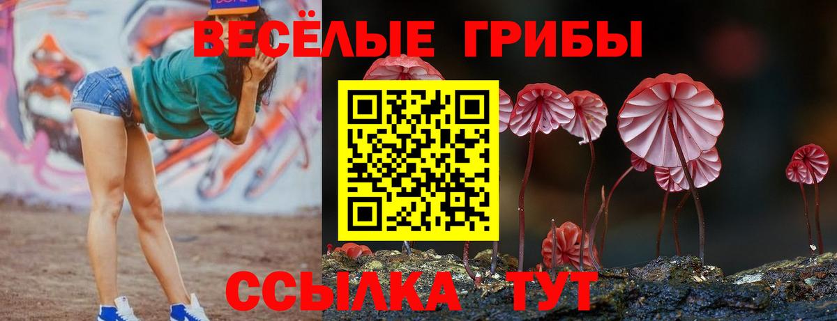 Псилоцибиновые грибы мицелий  Вход с VPN  Алейск  Галлюциногенные грибы Psilocybe 